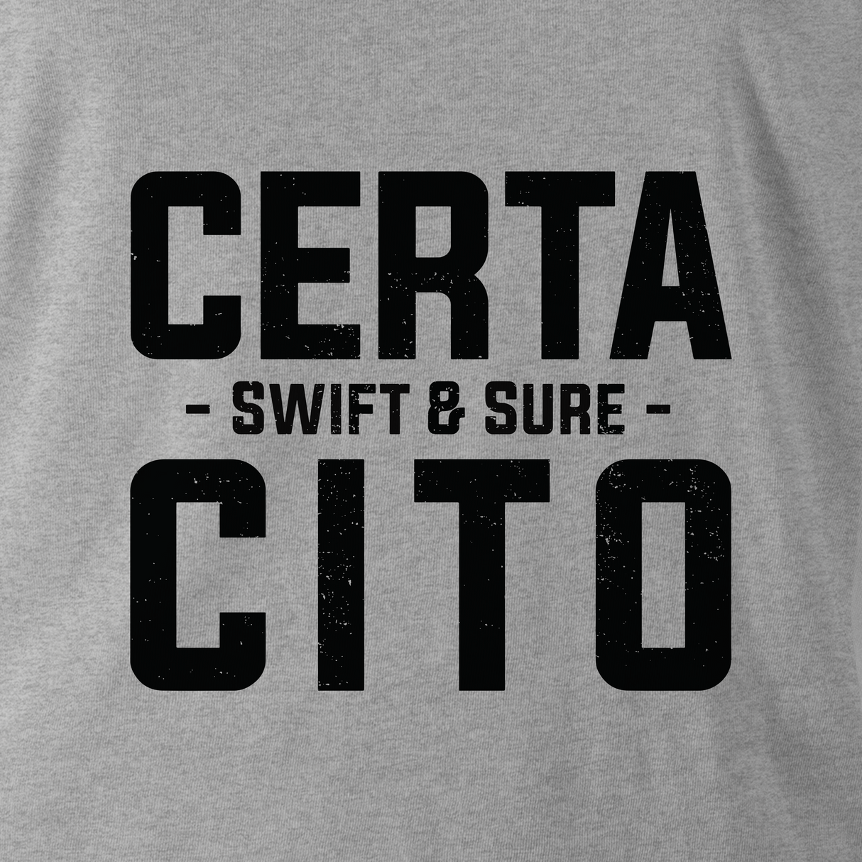 CERTA CITO HOODIE (SIGNALS)