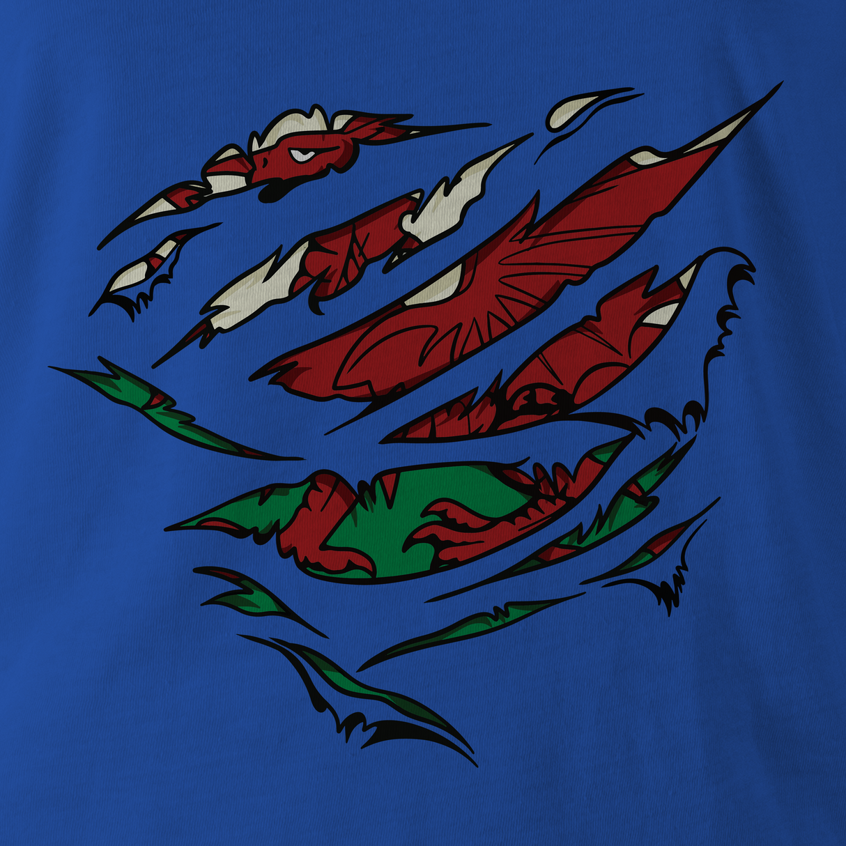 RIPPED WELSH FLAG