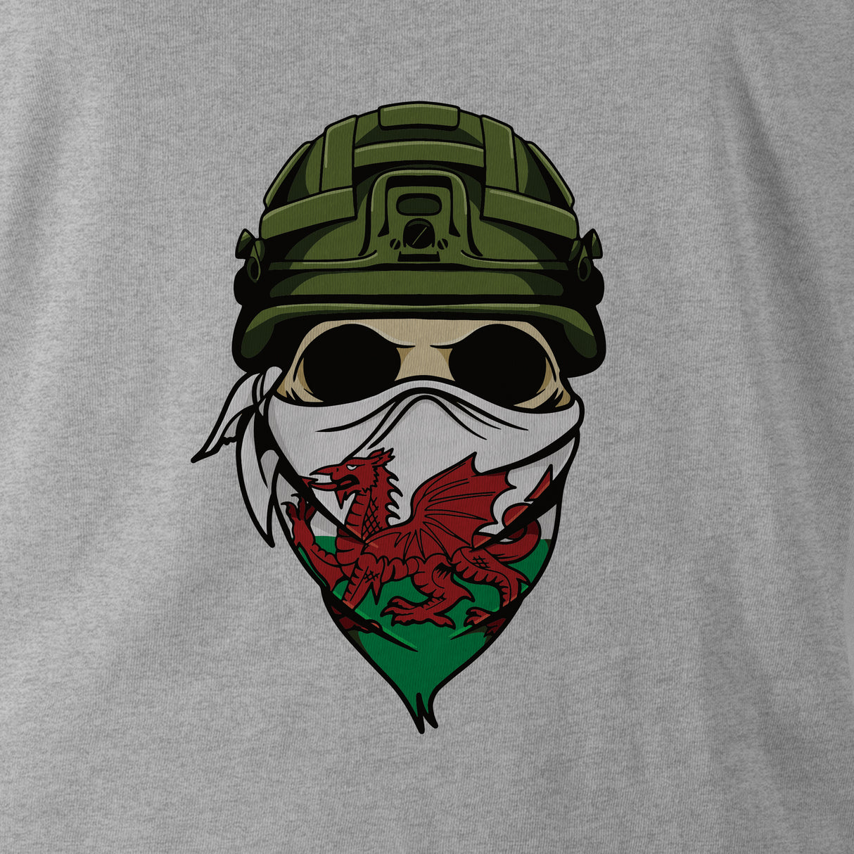 FW SOLDIER WALES HOODIE