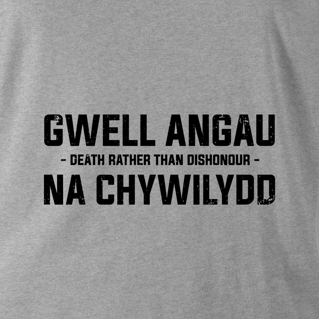 GWELL ANGAU NA CHYWILYDD (ROYAL WELSH) HOODIE