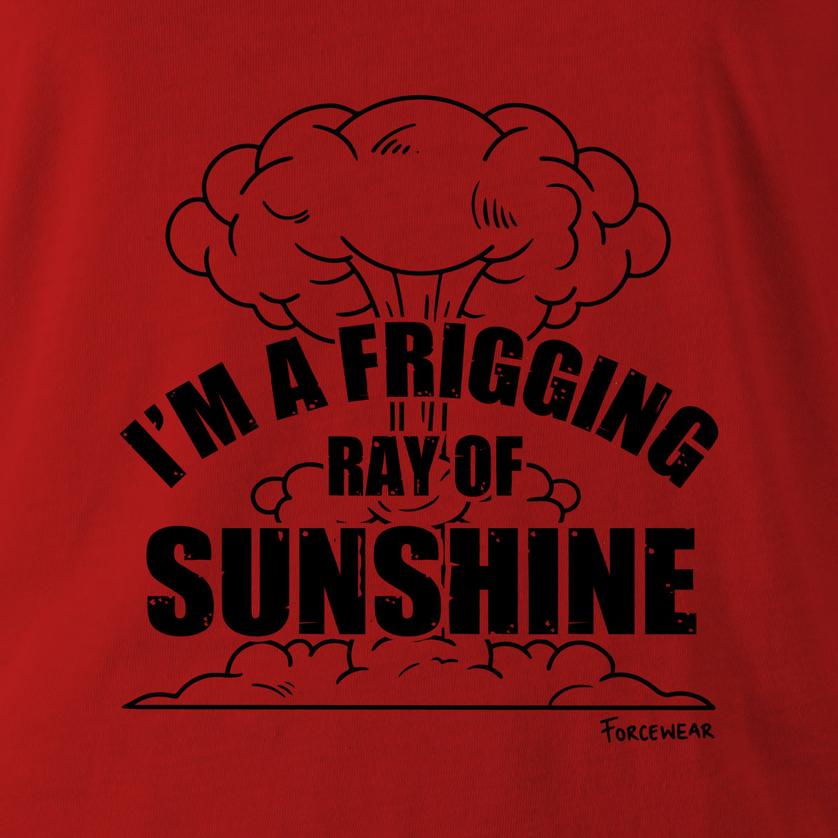 FRIGGING RAY OF SUNSHINE