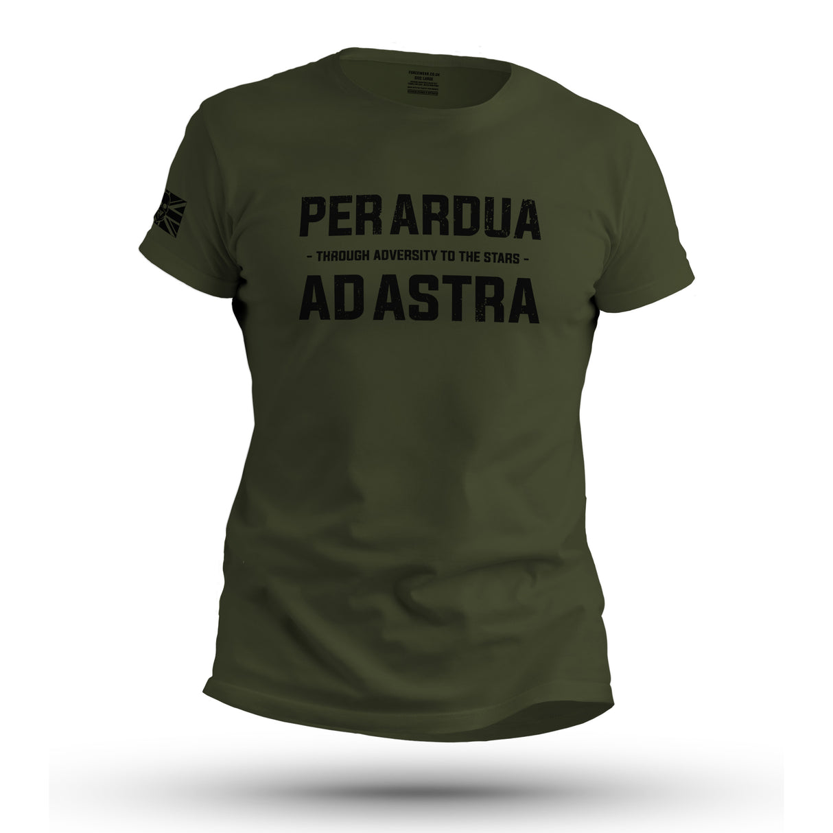 PER ARDUA AD ASTRA (RAF)