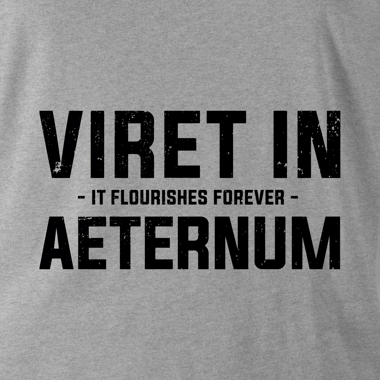 VIRET IN AETERNUM (THE LIGHT DRAGOONS) HOODIE