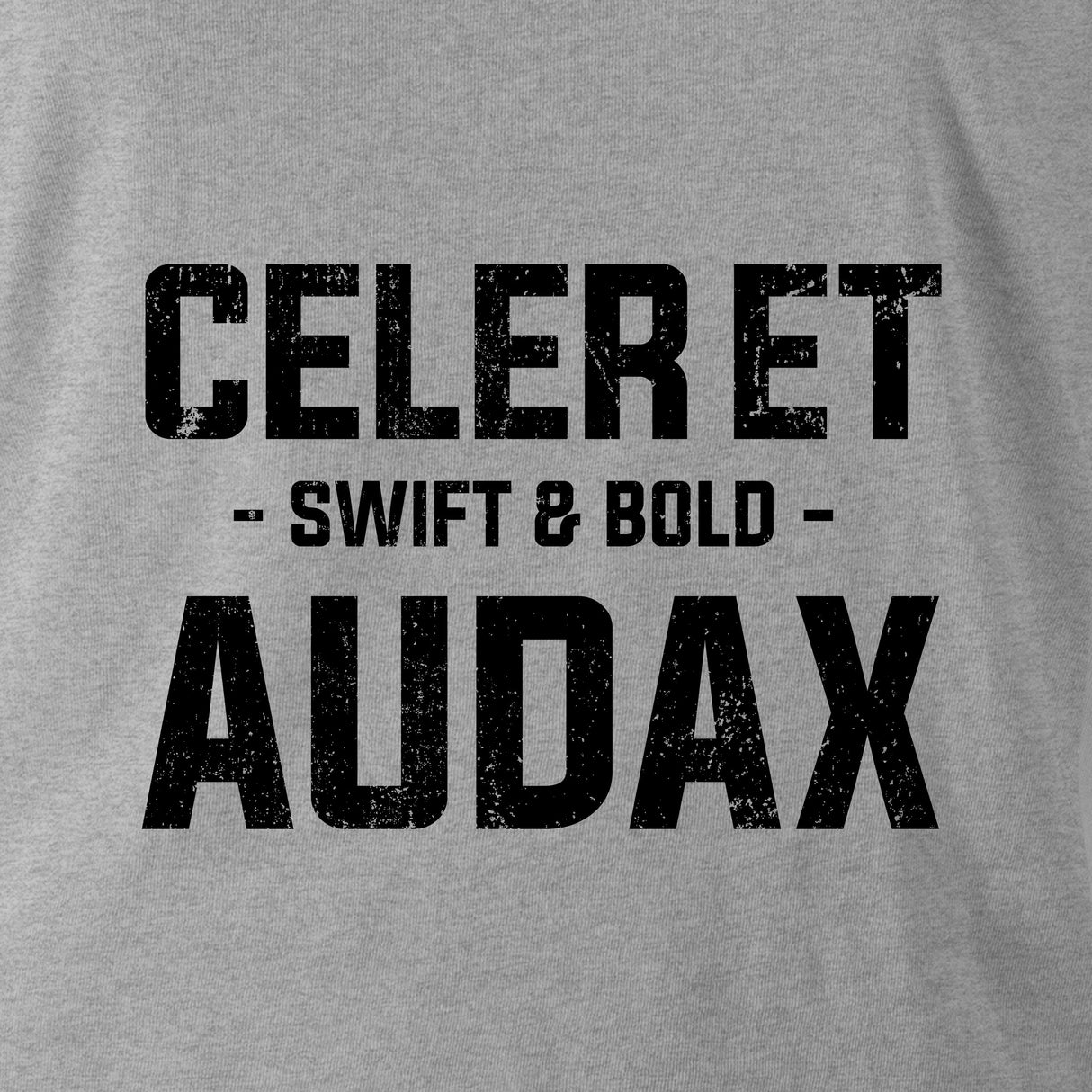 CELER ET AUDAX (RIFLES) - Force Wear HQ - T-SHIRTS