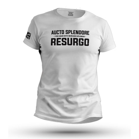 AUCTO SPLENDORE RESURGO (THE LIGHT INFANTRY)