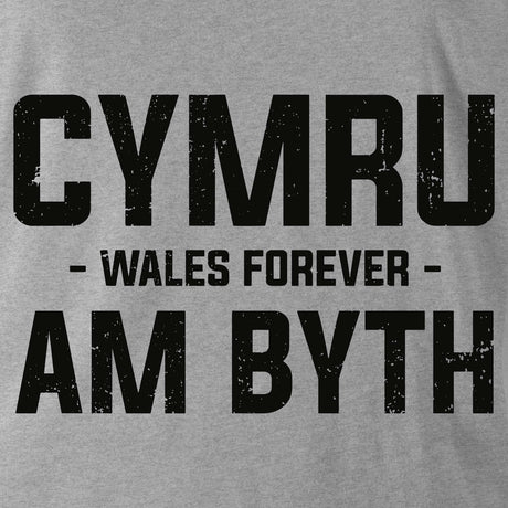 CYMRU AM BYTH (WELSH GUARDS) HOODIE