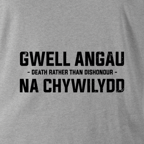 GWELL ANGAU NA CHYWILYDD (ROYAL WELSH) HOODIE