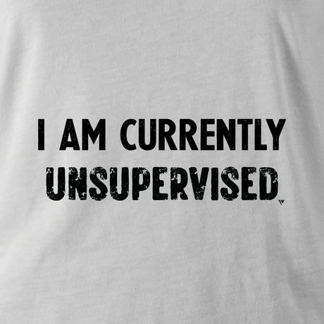 I AM CURRENTLY UNSUPERVISED