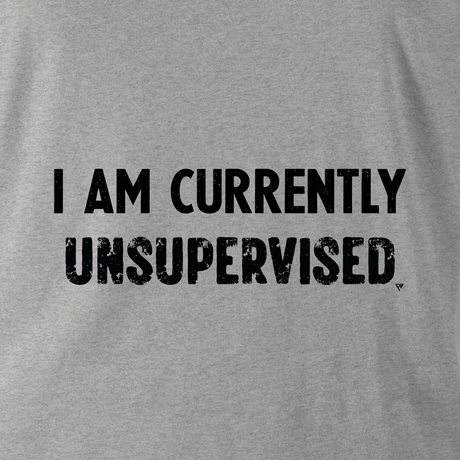 I AM CURRENTLY UNSUPERVISED HOODIE