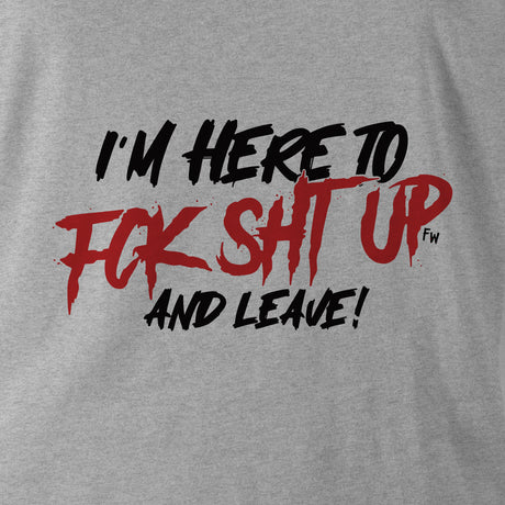 I'M HERE TO FK SHT UP HOODIE