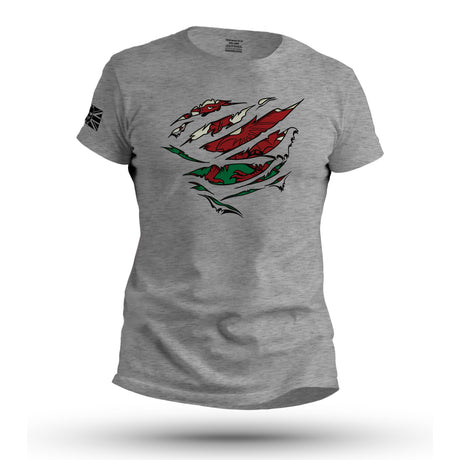 RIPPED WELSH FLAG