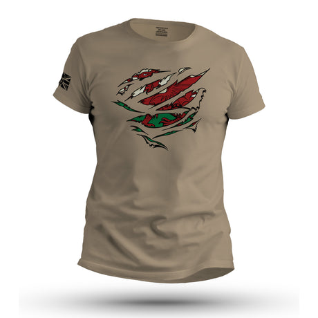 RIPPED WELSH FLAG