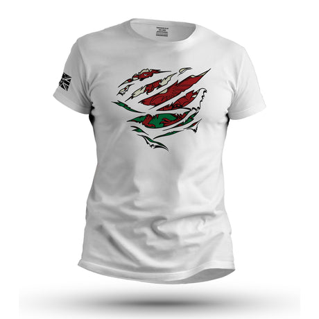 RIPPED WELSH FLAG