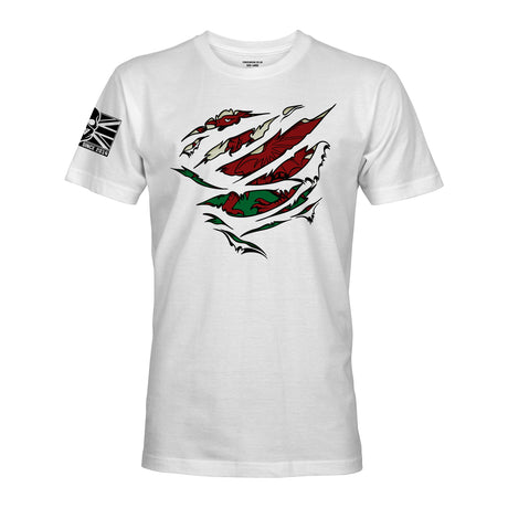RIPPED WELSH FLAG