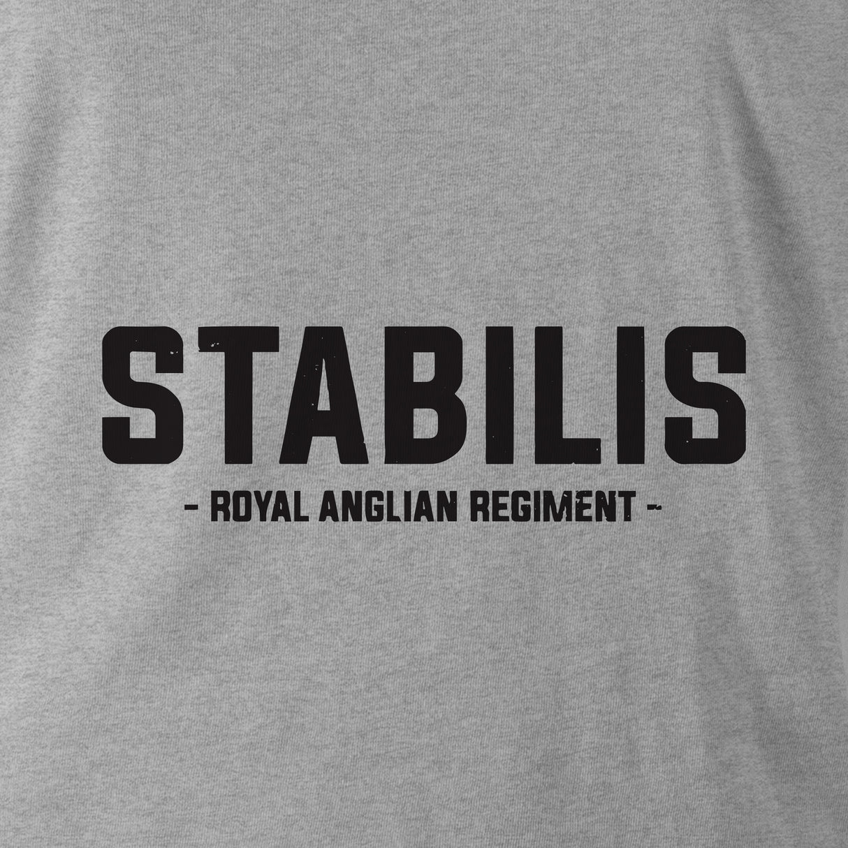 STABILIS (ROYAL ANGLIAN REGIMENT) HOODIE