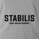 STABILIS (ROYAL ANGLIAN REGIMENT) HOODIE