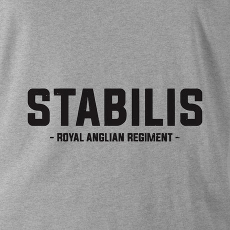 STABILIS (ROYAL ANGLIAN REGIMENT) HOODIE