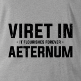 VIRET IN AETERNUM (THE LIGHT DRAGOONS) HOODIE