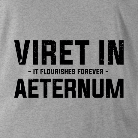 VIRET IN AETERNUM (THE LIGHT DRAGOONS) HOODIE